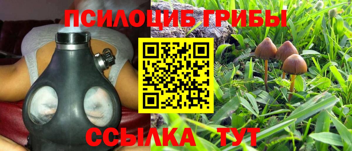Псилоцибиновые грибы мицелий Борисоглебск