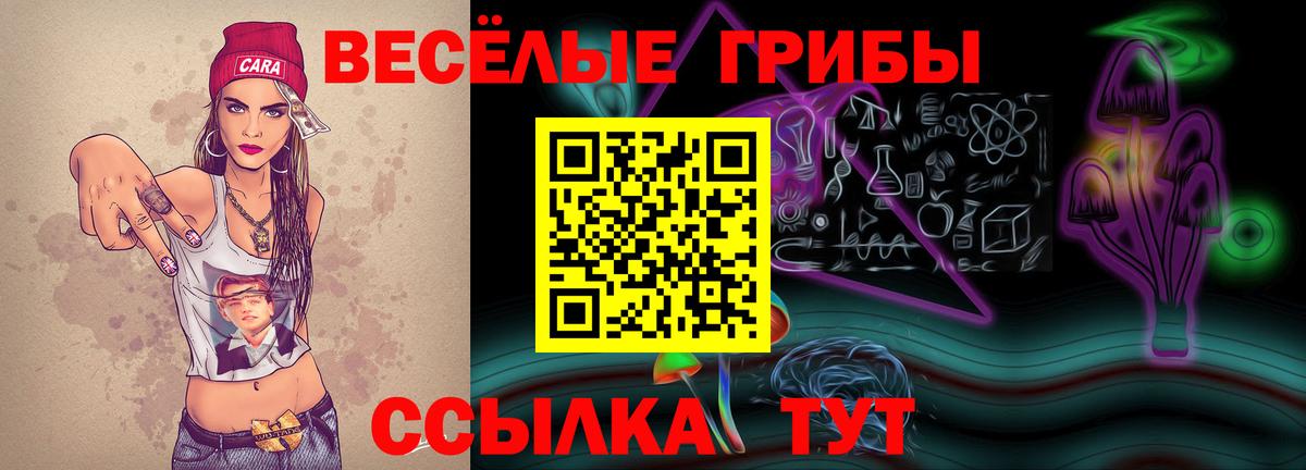 Борисоглебск  Псилоцибиновые грибы GOLDEN TEACHER  Вход с VPN  Галлюциногенные грибы Psilocybine cubensis 